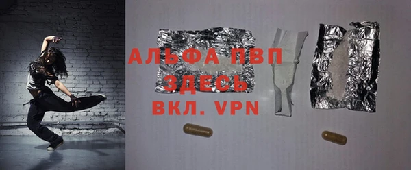 дживик Краснослободск