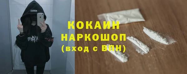 дживик Краснослободск