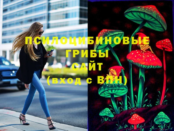 марки lsd Краснотурьинск