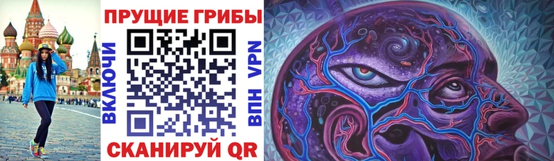Галлюциногенные грибы Cubensis  Купить где  Невинномысск 